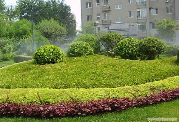 广州/惠州园林绿化服务商——安全有保障的天面裂缝防水补漏