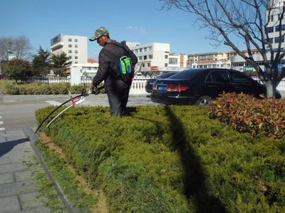 助力精致城市建设,道路景观绿化养护再提升